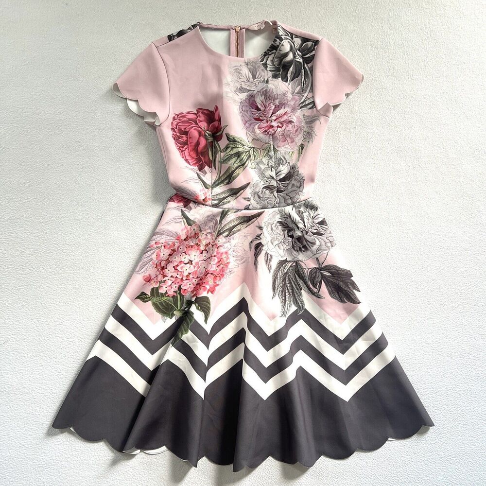 Ted Baker Haiilie Palace Gardens Floral Scalloped Pink Grey Skater Dress 0/ US 2